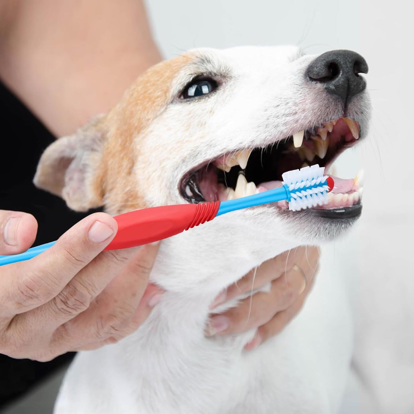 360° Dual Head Dog Toothbrush for Dogs & Cats Dental Care