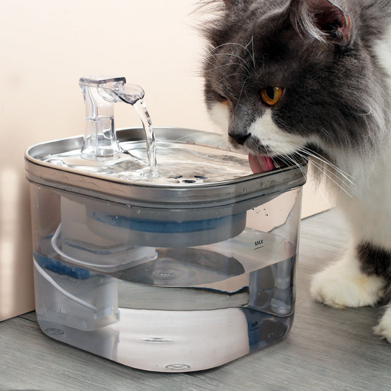 Stainless Steel Automatic Pet Water Fountain 2L for Dogs & Cats