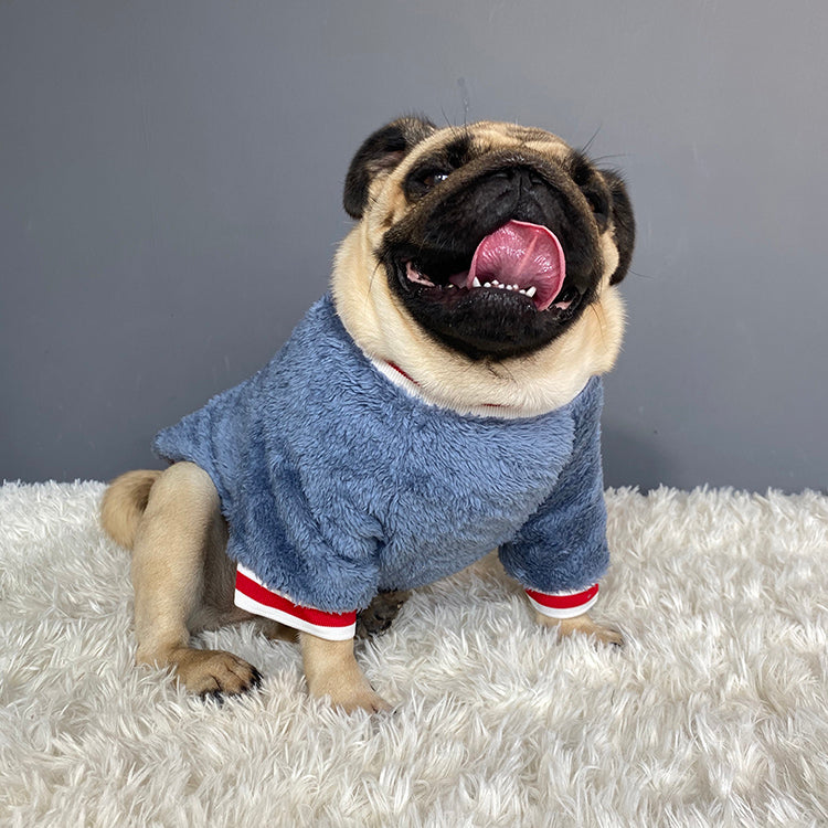 Blue cotton dog sweater for everyday comfort