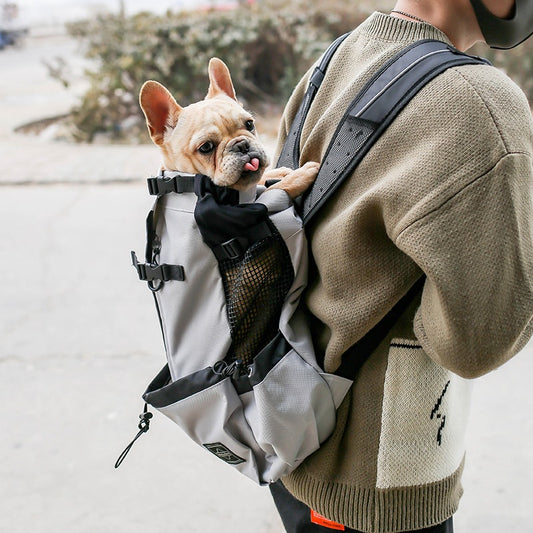 Person carrying a small dog in a backpack on a street.