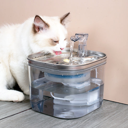 2L stainless steel automatic pet water fountain