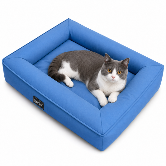 Cat lying on a blue pet bed with a white background